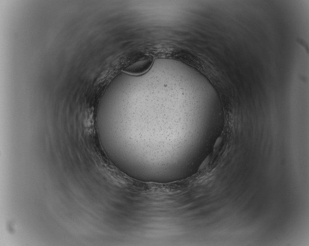 X0000099320818200805161358