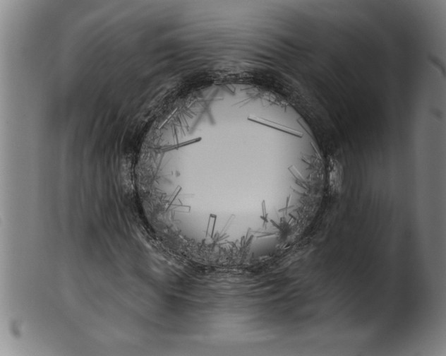 X0000099320819200805161358