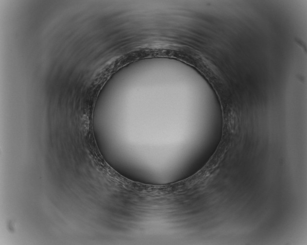 X0000099320821200805161358