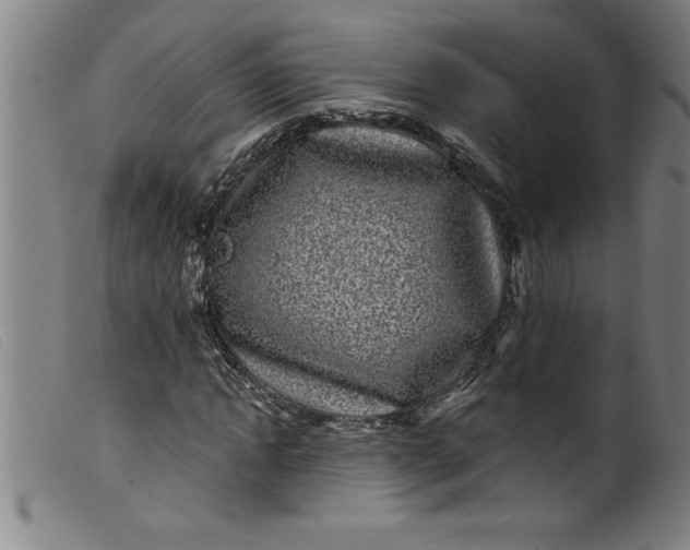 X0000099320822200805161358