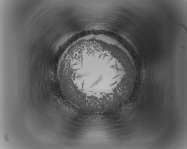 X0000099320823200805161358