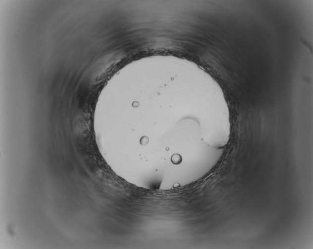 X0000099320824200805161358