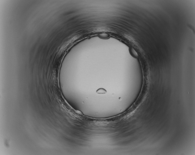 X0000099320825200805161358