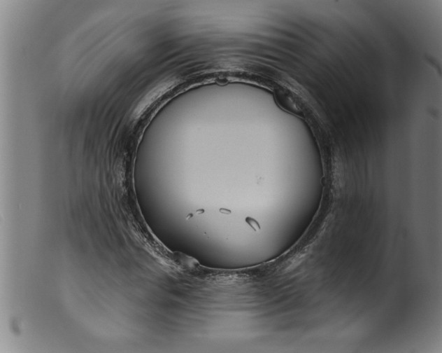 X0000099320826200805161358