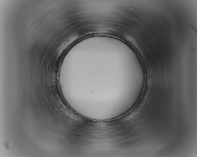 X0000099320827200805161358