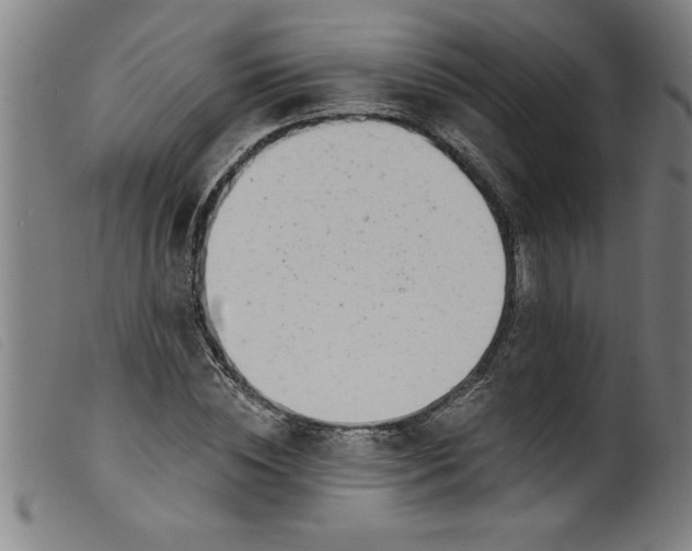 X0000099320828200805161358