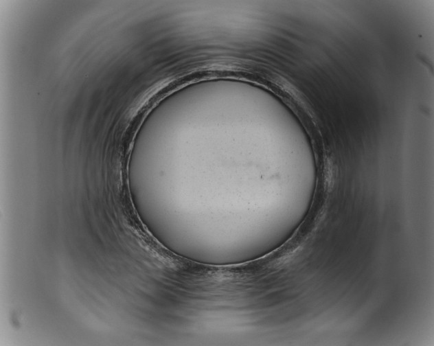 X0000099320829200805161358