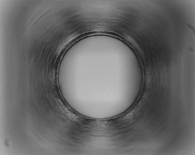 X0000099320831200805161358