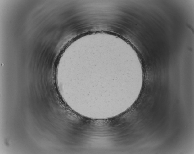 X0000099320832200805161358