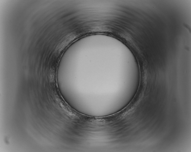 X0000099320833200805161358