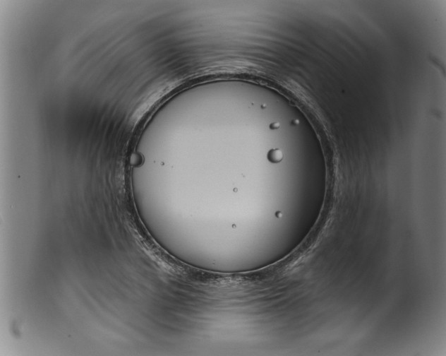 X0000099320834200805161358