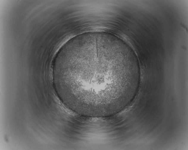 X0000099320835200805161358