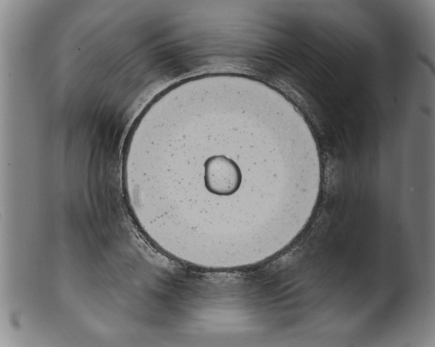 X0000099320836200805161358