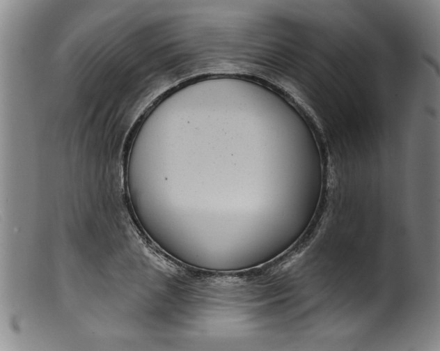 X0000099320837200805161358