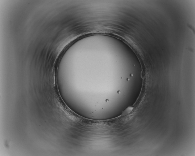 X0000099320838200805161358