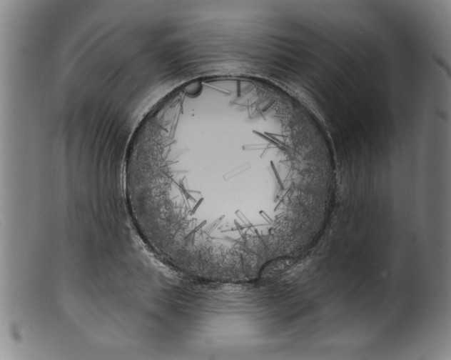 X0000099320839200805161359