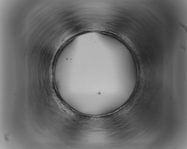 X0000099320840200805161359