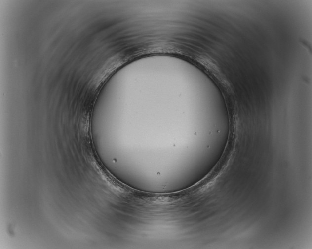 X0000099320841200805161359