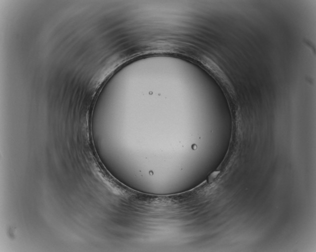 X0000099320842200805161359