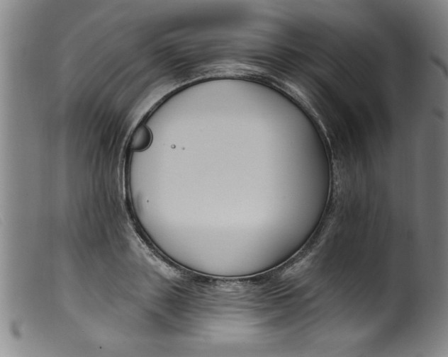 X0000099320843200805161359