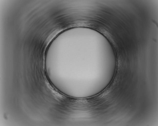 X0000099320844200805161359