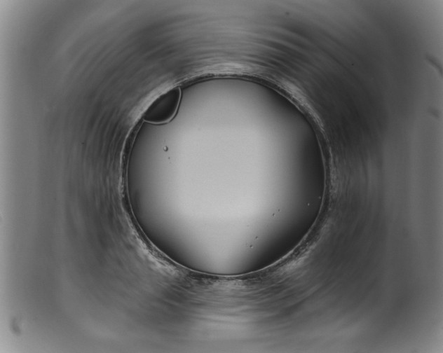 X0000099320845200805161359