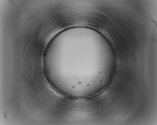 X0000099320846200805161359