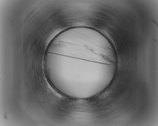 X0000099320847200805161359