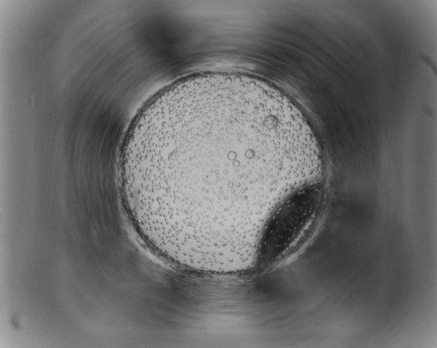 X0000099320848200805161359