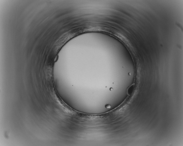 X0000099320849200805161359