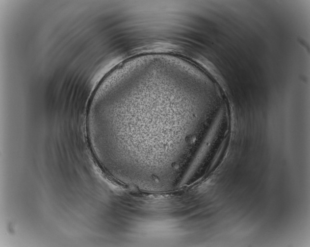 X0000099320850200805161359