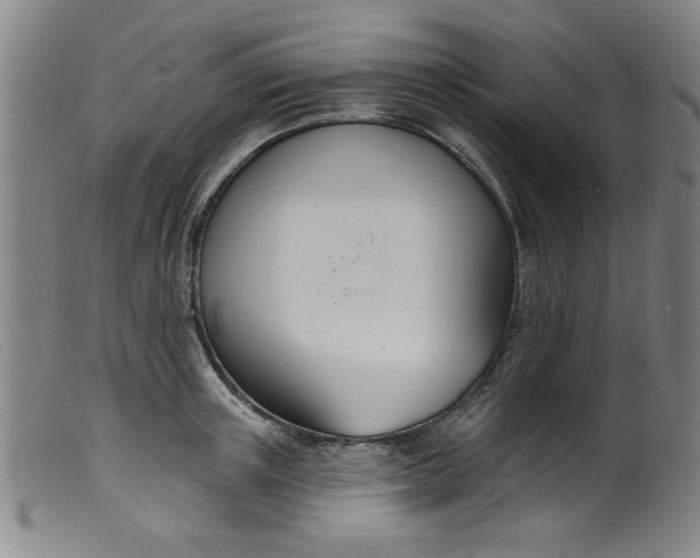 X0000099320851200805161359