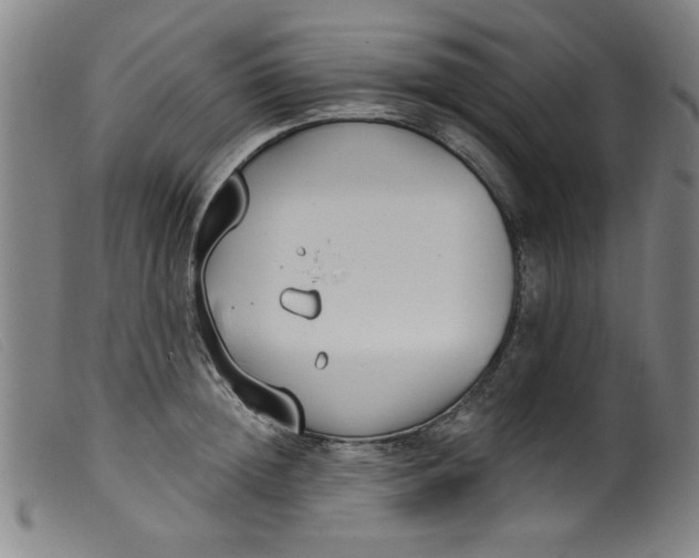 X0000099320852200805161359