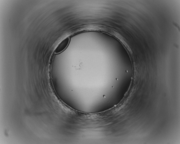 X0000099320853200805161359