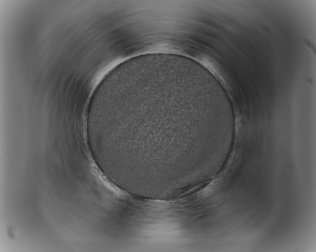 X0000099320854200805161359