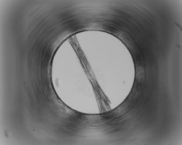 X0000099320856200805161359