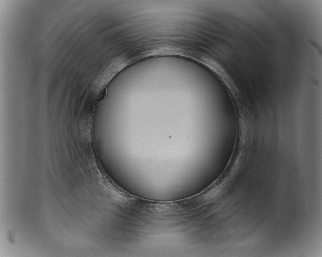 X0000099320857200805161359