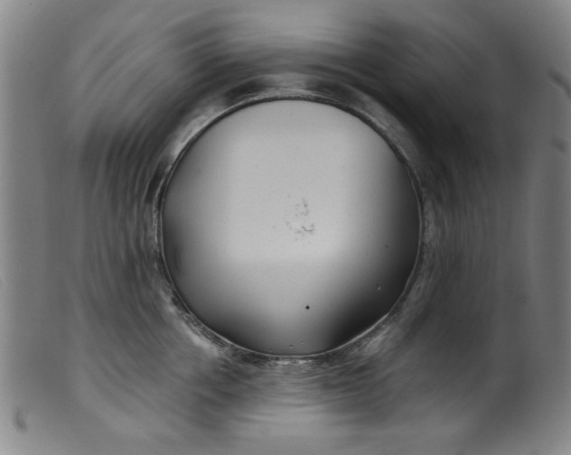 X0000099320858200805161359