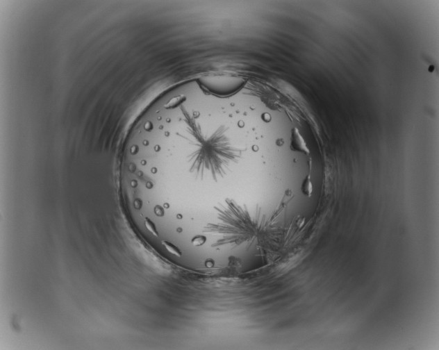 X0000099320859200805161359