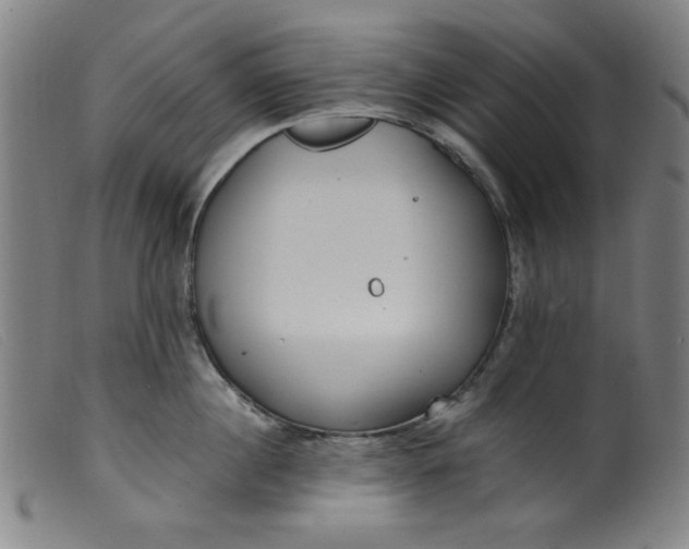 X0000099320860200805161359