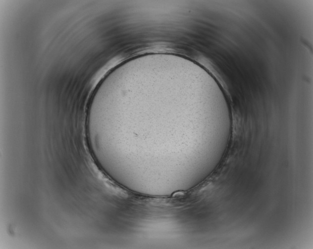 X0000099320861200805161359