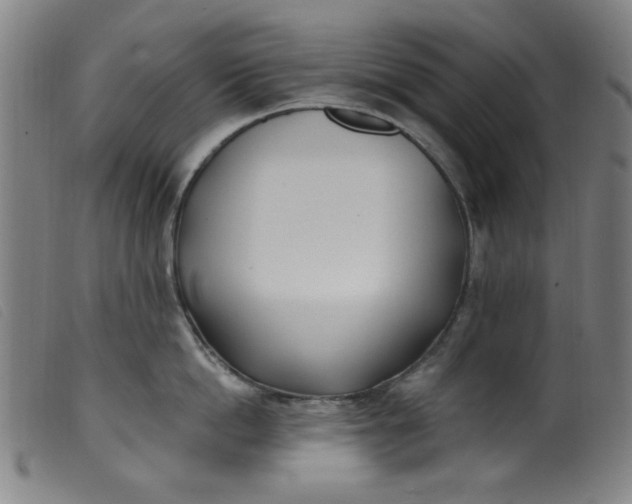 X0000099320862200805161359