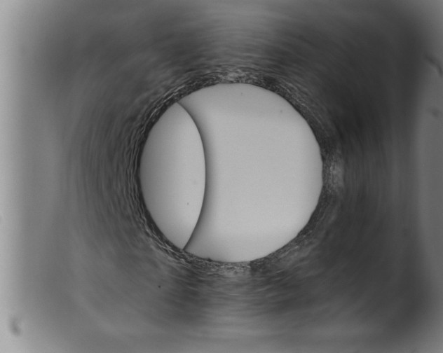 X0000099320865200805161358