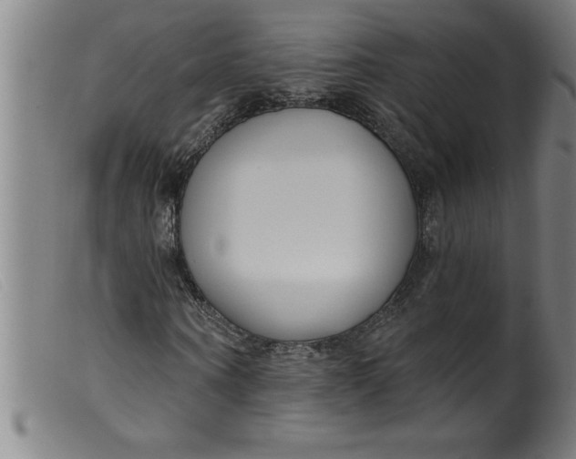 X0000099320866200805161358