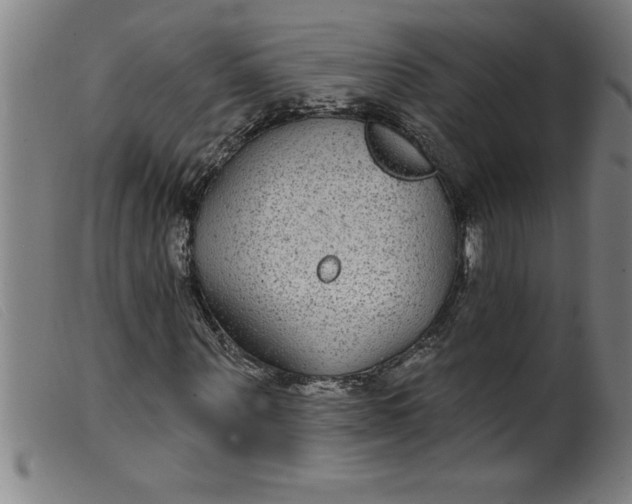 X0000099320867200805161358