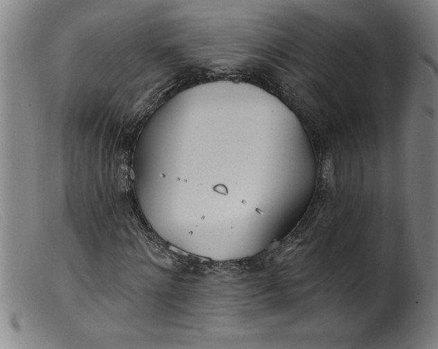 X0000099320868200805161358