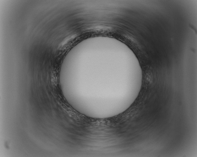 X0000099320869200805161358