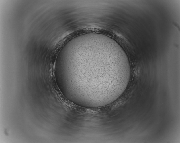 X0000099320870200805161358