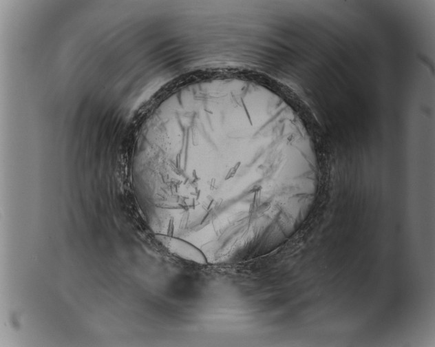 X0000099320871200805161358