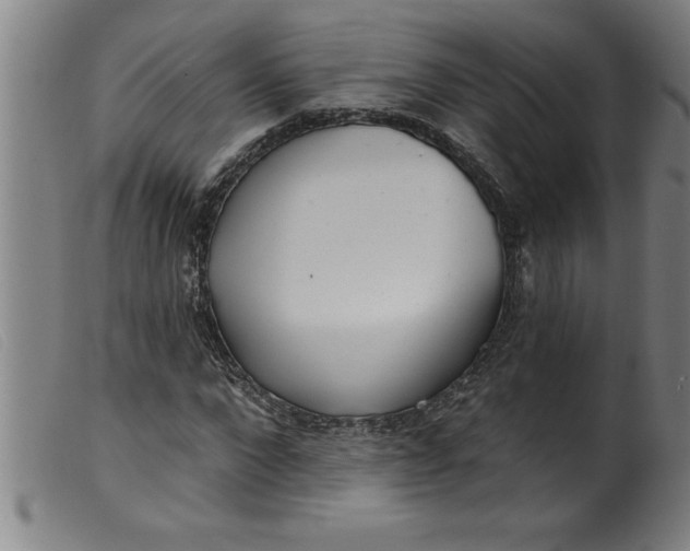 X0000099320872200805161358